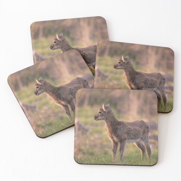 Item preview, Young Mouflon in Spring Meadow designed and sold by Medve Photography & Design.
