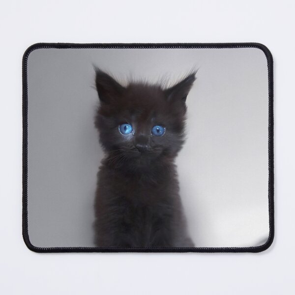 Item preview, Black kitten with blue eyes designed and sold by LilaVert.
