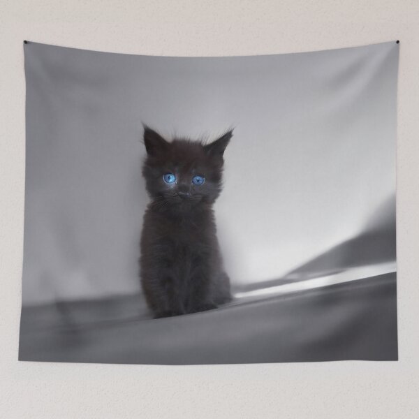 Item preview, Black kitten with blue eyes designed and sold by LilaVert.