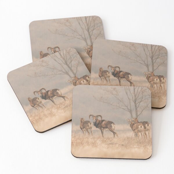 Item preview, Mouflon Herd in Winter Mist designed and sold by Medve Photography & Design.