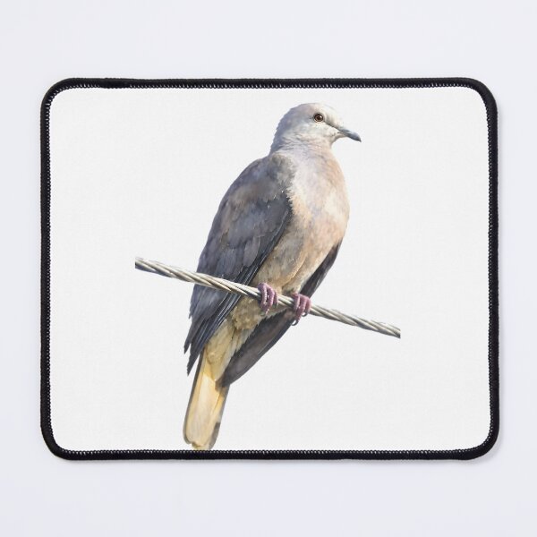 Item preview, Peale’s Imperial Pigeon (Ducula latrans) designed and sold by HOMETOWN86.