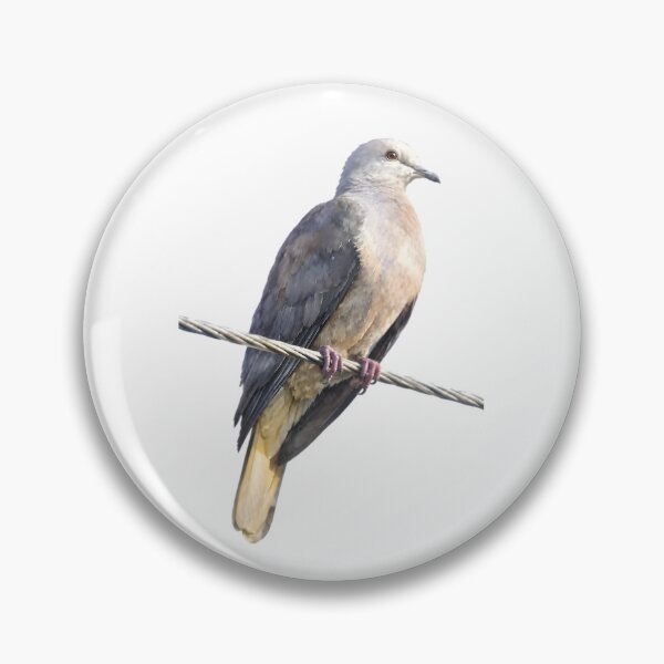 Item preview, Peale’s Imperial Pigeon (Ducula latrans) designed and sold by HOMETOWN86.