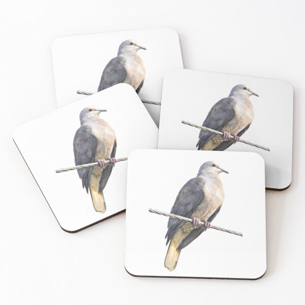 Item preview, Peale’s Imperial Pigeon (Ducula latrans) designed and sold by HOMETOWN86.