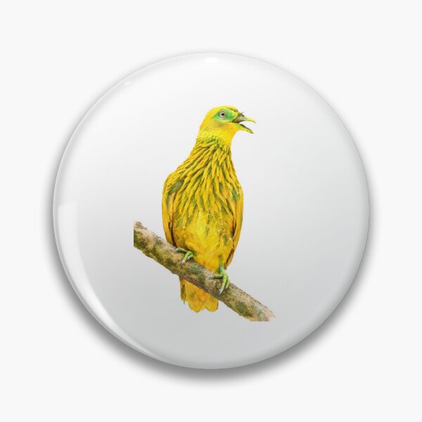 Item preview, Golden Dove (Ptilinopus luteoviridis) designed and sold by HOMETOWN86.