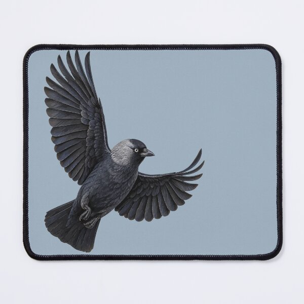 Item preview, The Jackdaw Pennons Outstretched designed and sold by taiche.