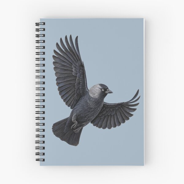 Item preview, The Jackdaw Pennons Outstretched designed and sold by taiche.