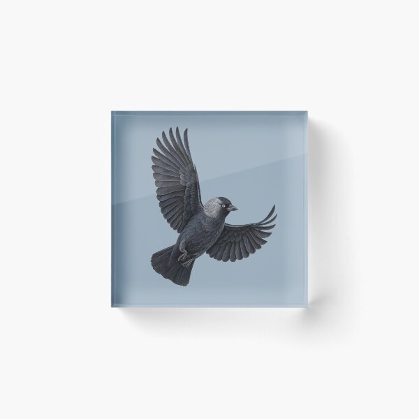 Item preview, The Jackdaw Pennons Outstretched designed and sold by taiche.