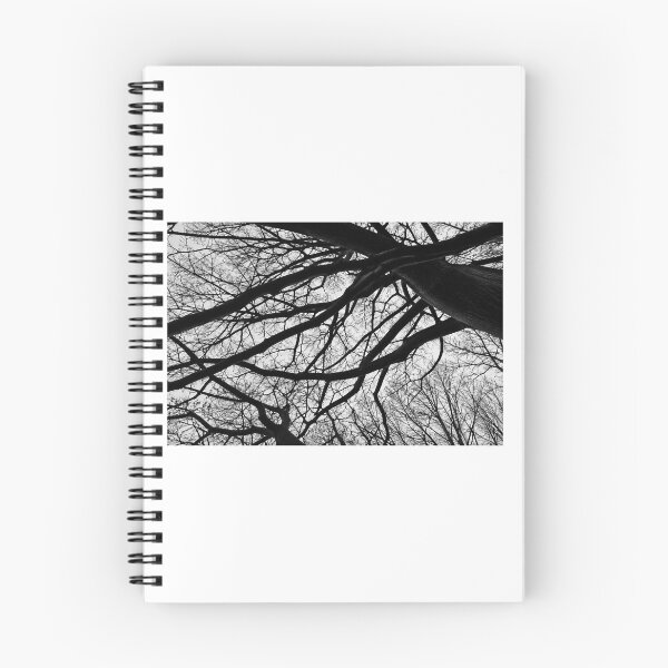 Item preview, Entangled – Black & White Winter Tree Canopy designed and sold by KeeganDykes.