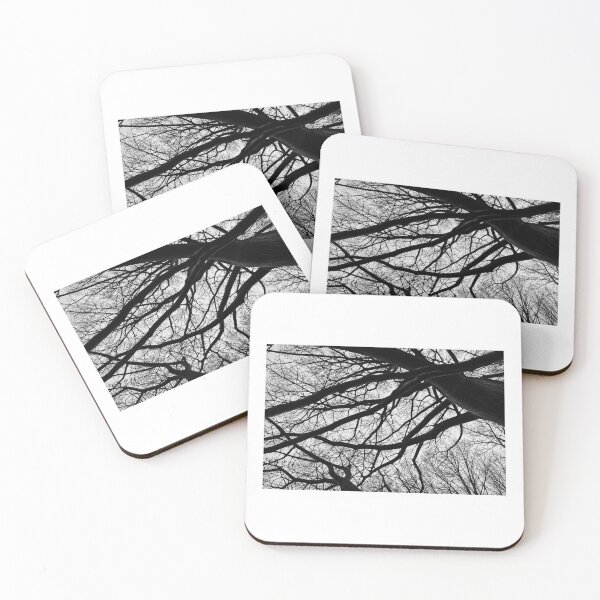 Item preview, Entangled – Black & White Winter Tree Canopy designed and sold by KeeganDykes.