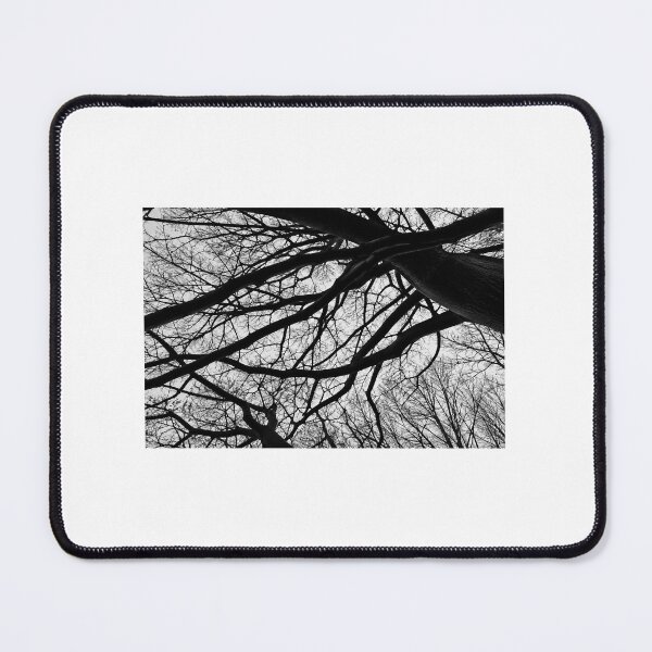 Item preview, Entangled – Black & White Winter Tree Canopy designed and sold by KeeganDykes.