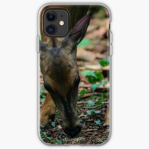Quiet Doe iPhone Soft Case