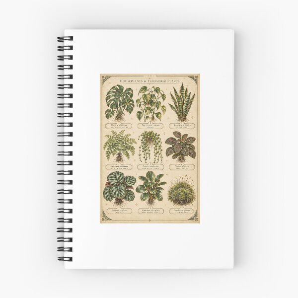 Item preview, Houseplant Identification Chart | Vintage Botanical Plant | Plant Parent Gift designed and sold by Brackenlume Studio.