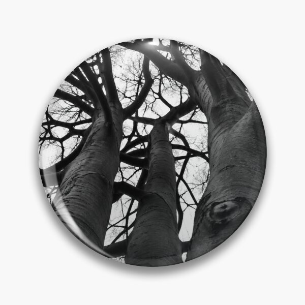 Item preview, Into the Canopy – Black & White Tree Photography designed and sold by KeeganDykes.