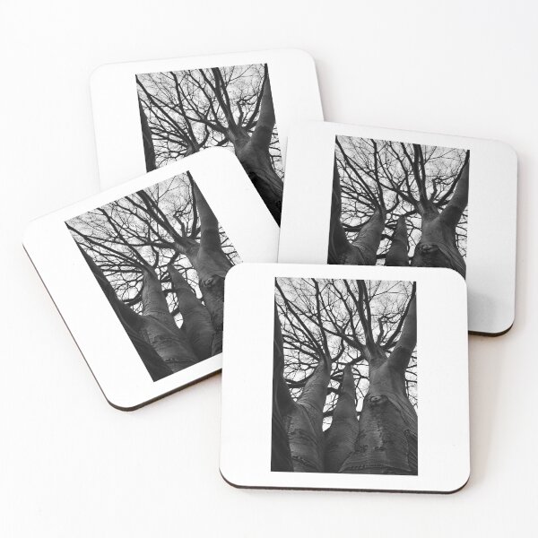Item preview, Into the Canopy – Black & White Tree Photography designed and sold by KeeganDykes.