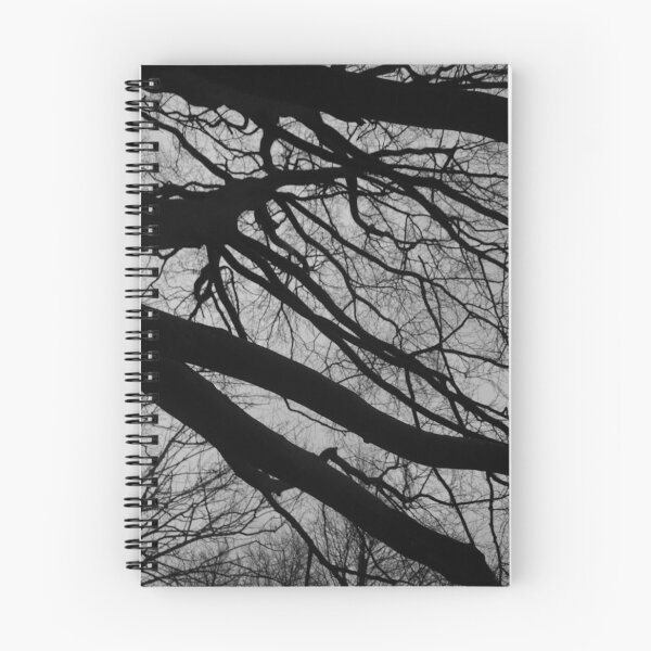 Item preview, Entwined – Black & White Tree Branch Photography designed and sold by KeeganDykes.