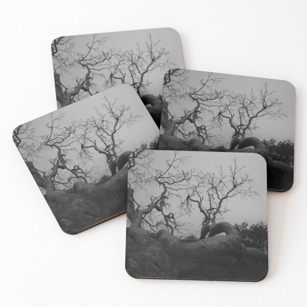 Item preview, Twisted – Black & White Ancient Tree Photography designed and sold by KeeganDykes.