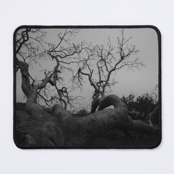 Item preview, Twisted – Black & White Ancient Tree Photography designed and sold by KeeganDykes.