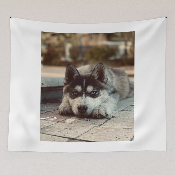 Item preview, Cute Blue Eyed Husky Puppy Lying Down designed and sold by VanGaldo.