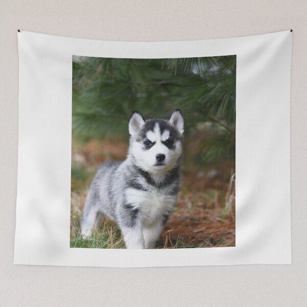 Item preview, Adorable Fluffy Husky Puppy Pine Background designed and sold by VanGaldo.
