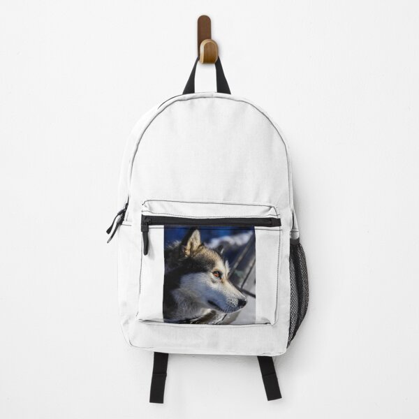 Item preview, Beautiful Husky Dog Profile Winter Sunshine designed and sold by VanGaldo.