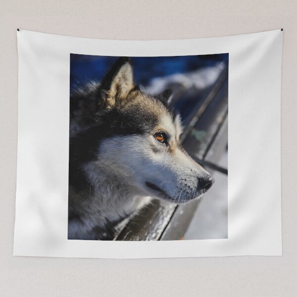 Item preview, Beautiful Husky Dog Profile Winter Sunshine designed and sold by VanGaldo.