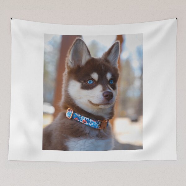 Item preview, Adorable Beautiful Blue Eyed Brown Husky Puppy designed and sold by VanGaldo.