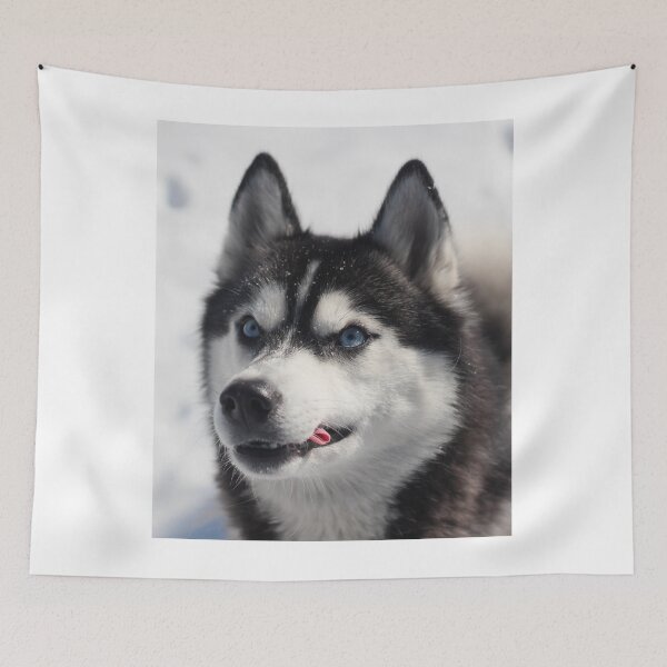 Item preview, Cute Blue Eyed Husky Tongue Out designed and sold by VanGaldo.
