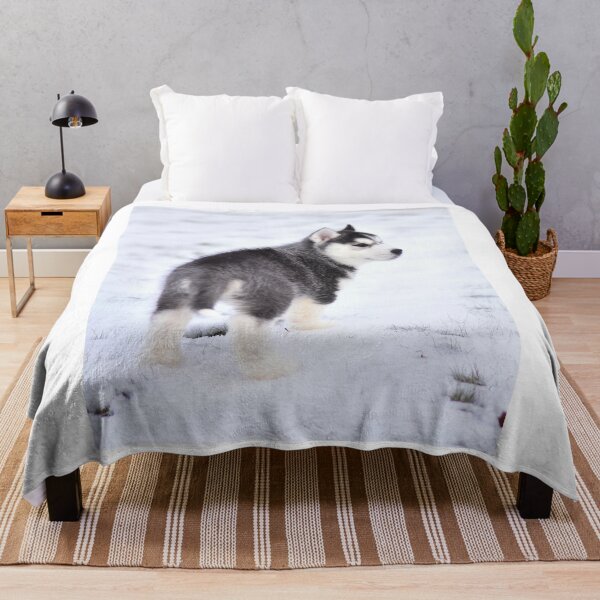 Item preview, Adorable Fluffy Husky Puppy Winter Portrait designed and sold by VanGaldo.