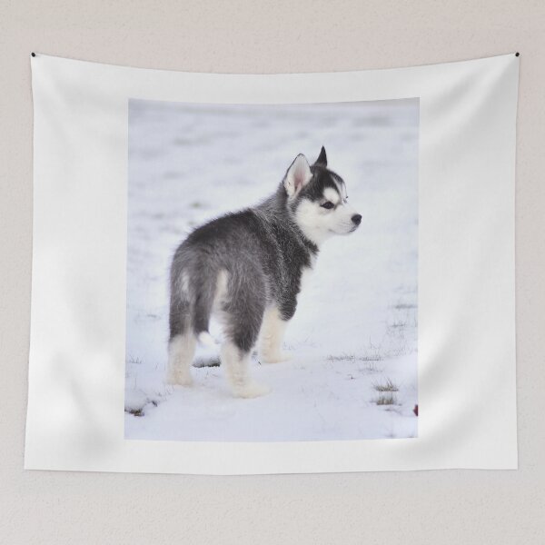 Item preview, Adorable Fluffy Husky Puppy Winter Portrait designed and sold by VanGaldo.
