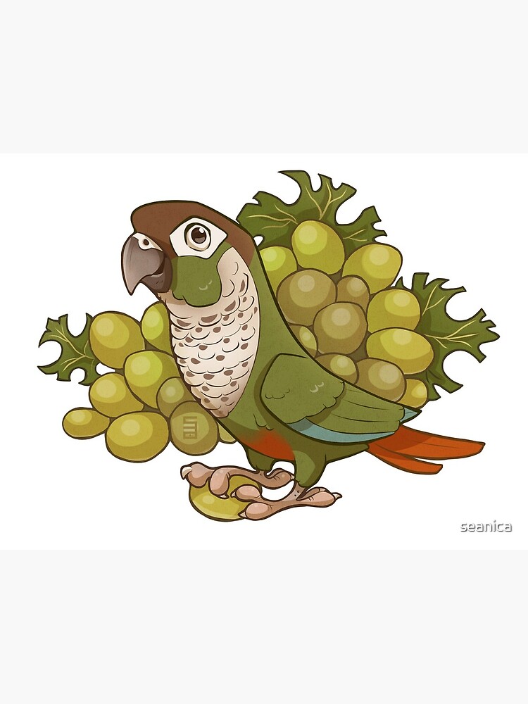 conure grapes