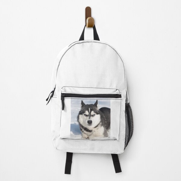 Item preview, Funny Grumpy Siberian Husky In Snow designed and sold by VanGaldo.
