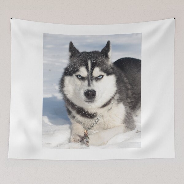 Item preview, Funny Grumpy Siberian Husky In Snow designed and sold by VanGaldo.