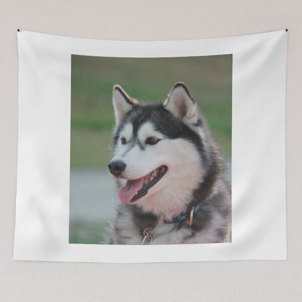 Item preview, Beautiful Fluffy Husky Dog Outdoor Portrait designed and sold by VanGaldo.