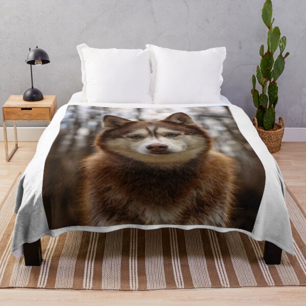 Item preview, Cute Red Siberian Husky Face Close Up designed and sold by VanGaldo.