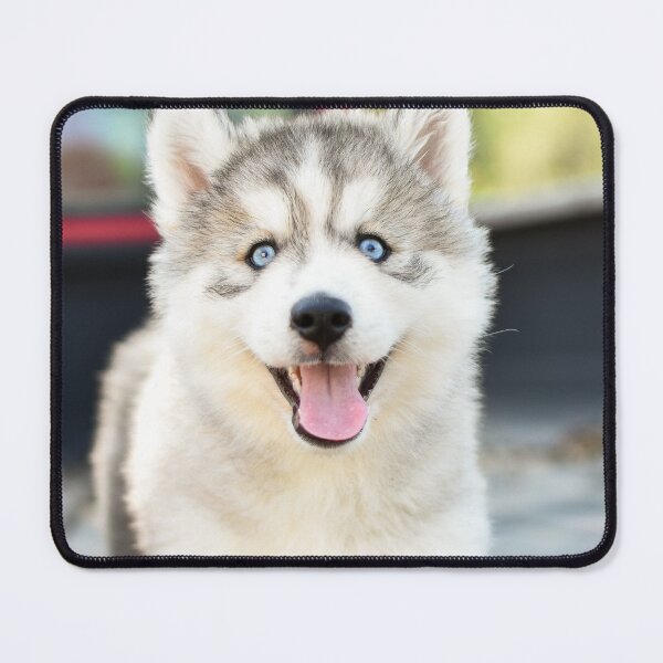Item preview, Happy Smiling Blue Eyed Husky Puppy designed and sold by VanGaldo.