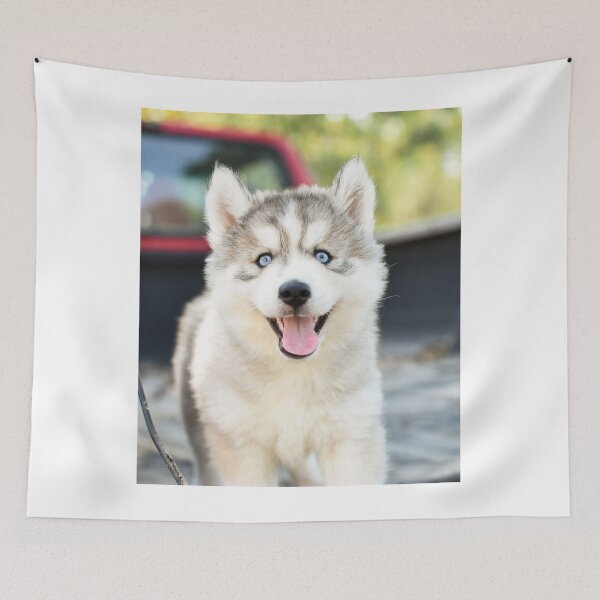Item preview, Happy Smiling Blue Eyed Husky Puppy designed and sold by VanGaldo.