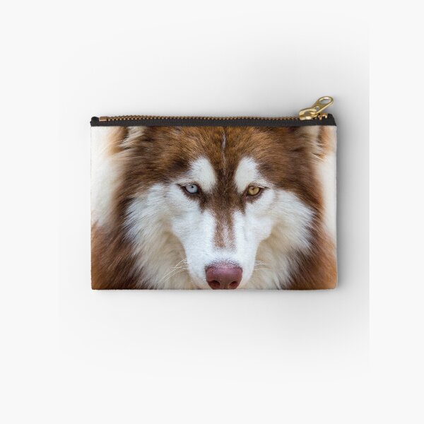 Item preview, Beautiful Heterochromia Siberian Husky Dog Close Up designed and sold by VanGaldo.