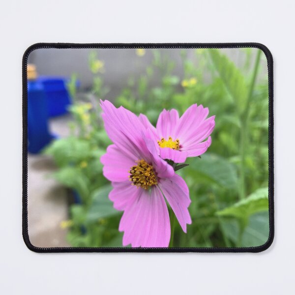 Item preview, Unique Twin Pink Cosmos Flower designed and sold by karachitmo.