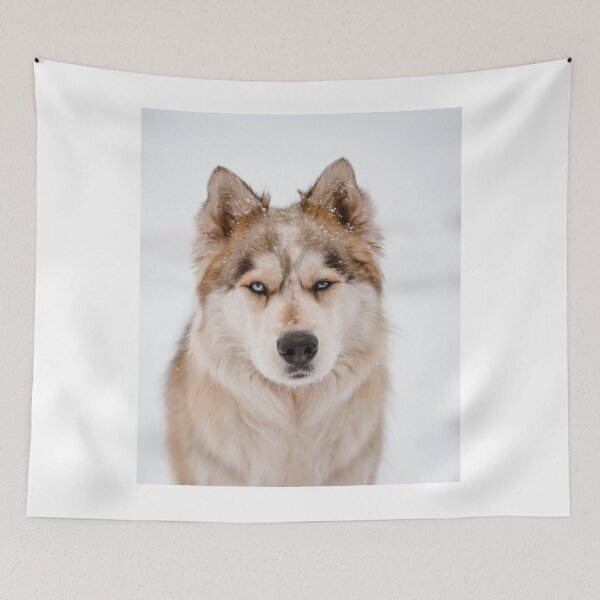 Item preview, Majestic Fluffy Siberian Husky In Winter Snow designed and sold by VanGaldo.