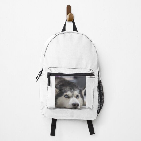 Item preview, Lazy Blue Eyed Siberian Husky Dog Resting designed and sold by VanGaldo.