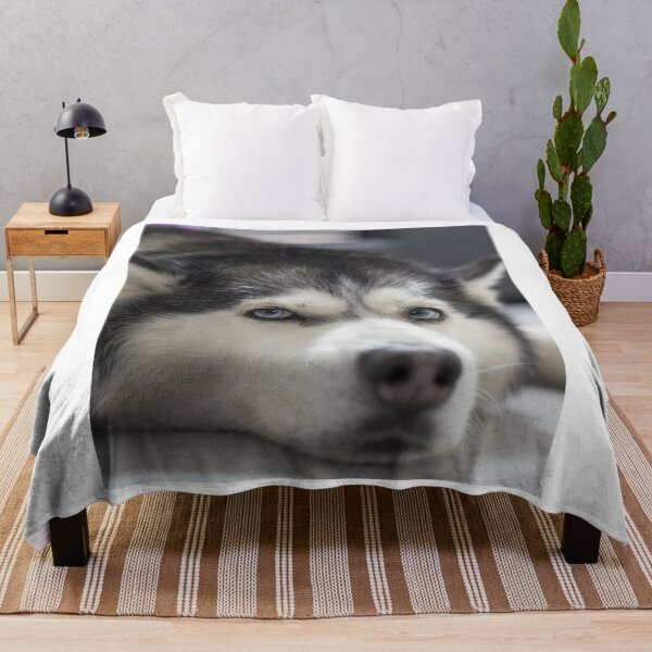 Item preview, Lazy Blue Eyed Siberian Husky Dog Resting designed and sold by VanGaldo.