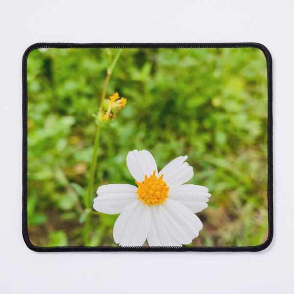 Item preview, Gentle White Daisy Wildflower designed and sold by karachitmo.