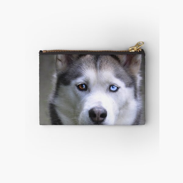 Item preview, Beautiful Heterochromia Husky Dog Close Up designed and sold by VanGaldo.