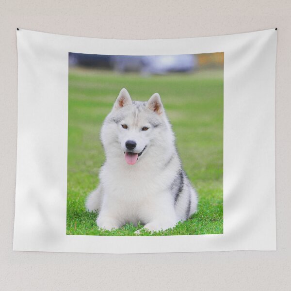 Item preview, Smiling Siberian Husky Brown Eyes Portrait designed and sold by VanGaldo.