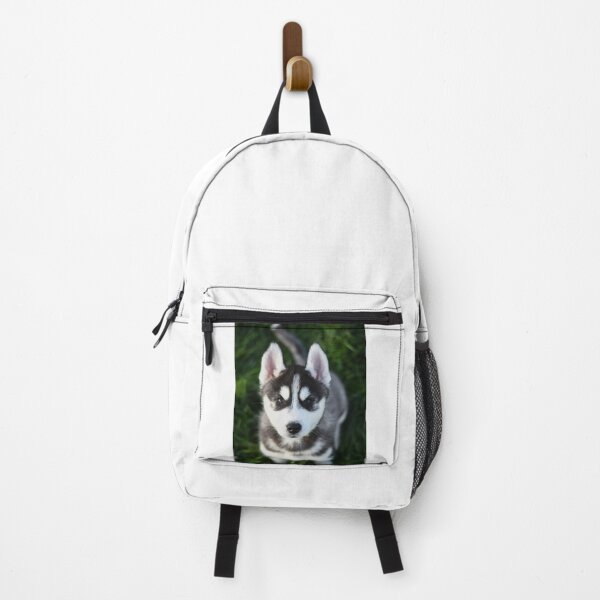 Item preview, Adorable Fluffy Husky Puppy Looking Up designed and sold by VanGaldo.