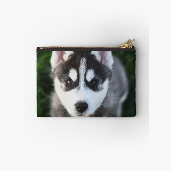 Item preview, Adorable Fluffy Husky Puppy Looking Up designed and sold by VanGaldo.