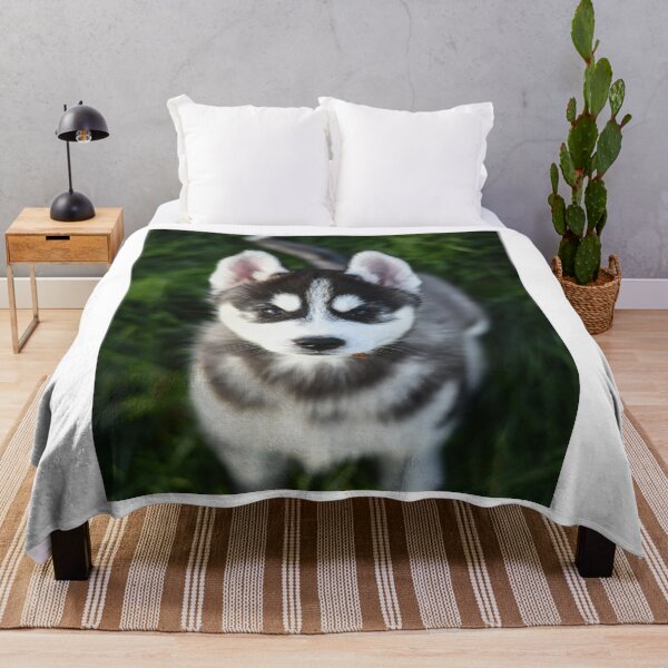 Item preview, Adorable Fluffy Husky Puppy Looking Up designed and sold by VanGaldo.