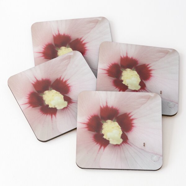 Item preview, An Ant in a Rose of Sharon Bloom designed and sold by concretebotany.