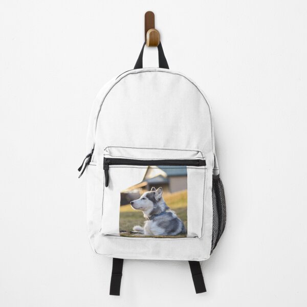 Item preview, Siberian Husky Side Profile Blue Collar designed and sold by VanGaldo.