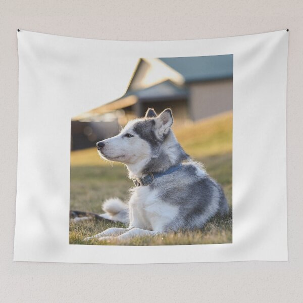 Item preview, Siberian Husky Side Profile Blue Collar designed and sold by VanGaldo.